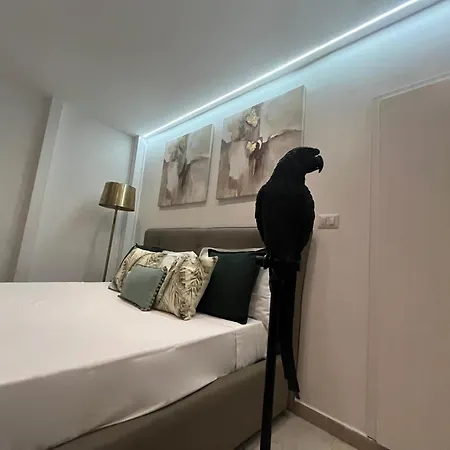 Casa Frida 维耶斯泰